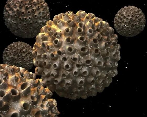 Virus du papillome